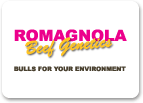 Romagnola Beef Genetics